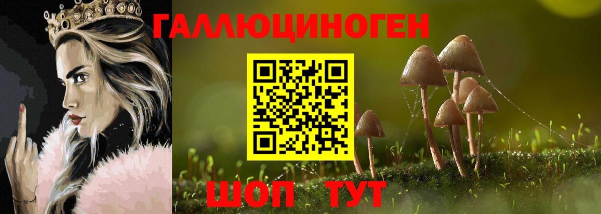 Псилоцибиновые грибы Psilocybine cubensis Нягань